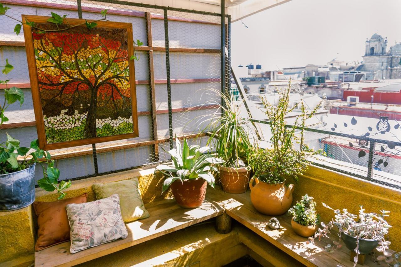 Boutique Hotel Casa Cid De Leon Oaxaca 外观 照片
